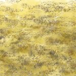 【知っておきたい！】相続した土地を国に引き取ってもらえる？～相続土地国庫帰属制度のご紹介～