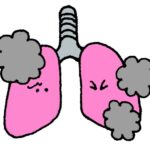 建築物のアスベスト対策 知らなかったでは済まされない「不動産のリスク」と「義務」