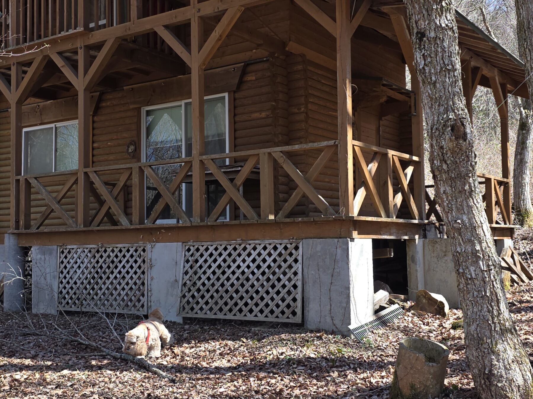 (外観) (外観) - 田布施町(山口県)の不動産・遺品整理はジャスティスへ
