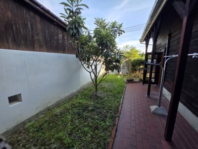 中庭 中庭
